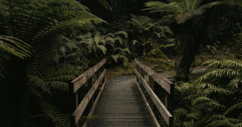 Pexels/TylerLastovich